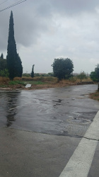 Bego�a Carrasco elogia la resposta de Castell� davant pluges torrencials i la conducta ciutadana