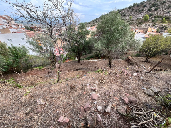 vilafames-desbroza-para-prevenir-incendios-forestales-junto-al-casco-urbano