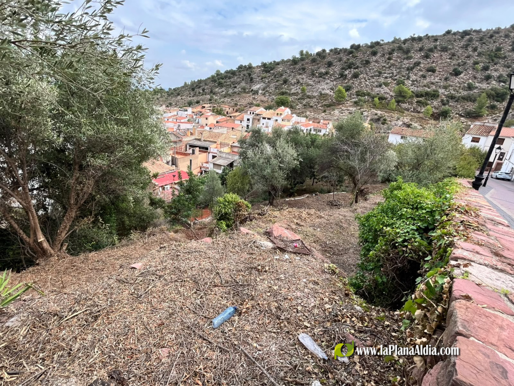 Vilafam�s desbrossa per a prevenir incendis forestals al costat del nucli urb�