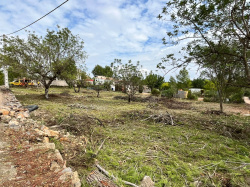 Vilafam�s desbrossa per a prevenir incendis forestals al costat del nucli urb�