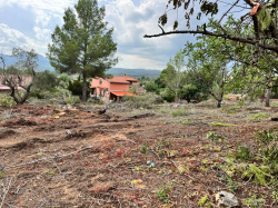 Vilafam�s desbrossa per a prevenir incendis forestals al costat del nucli urb�