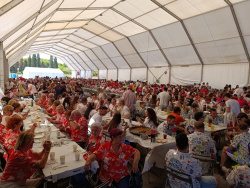 M�s de 1.700 persones participen en la XXVIII Trobada de Quintes d'Almenara