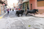 Les Alqueries inicia les exhibicions taurines amb una tancada