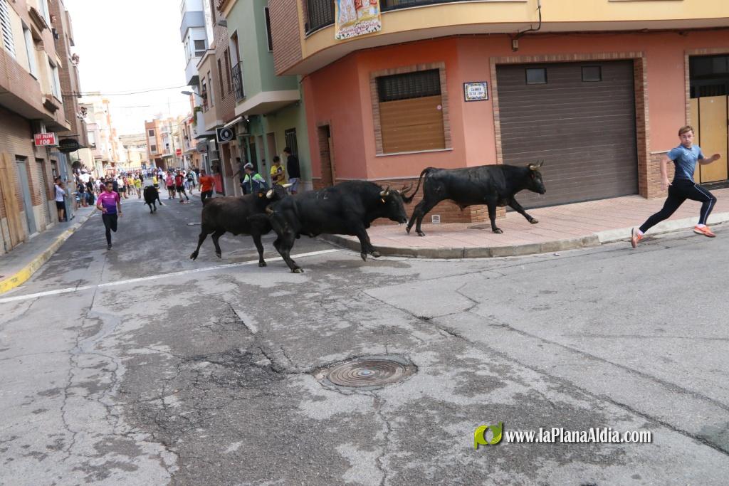 Les Alqueries inicia les exhibicions taurines amb una tancada