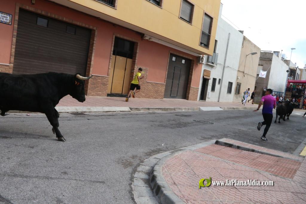 Les Alqueries inicia les exhibicions taurines amb una tancada