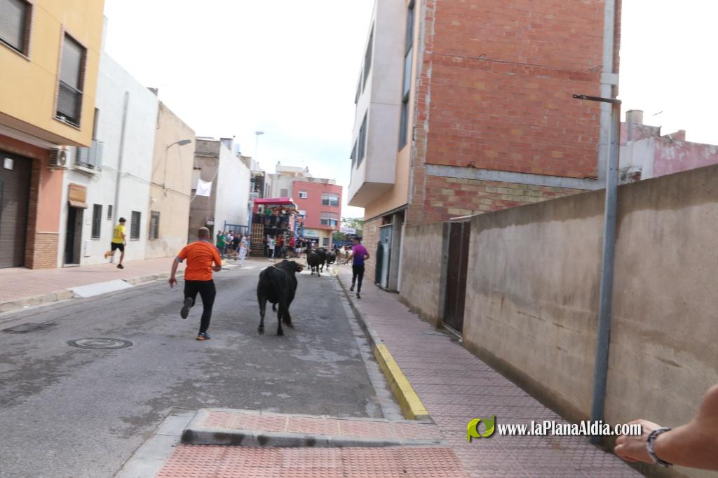 Les Alqueries inicia les exhibicions taurines amb una tancada