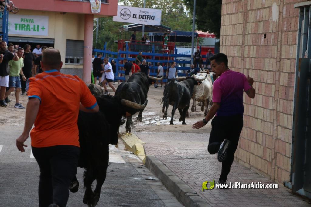 Les Alqueries inicia les exhibicions taurines amb una tancada