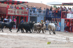 Les Alqueries inicia les exhibicions taurines amb una tancada