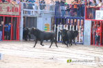 Les Alqueries inicia les exhibicions taurines amb una tancada