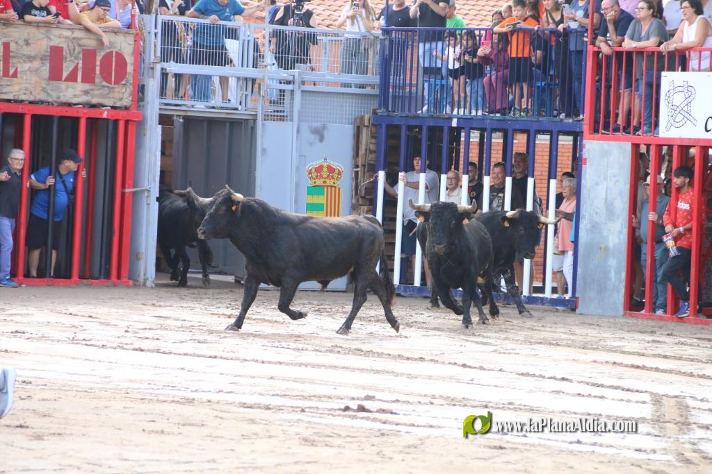 Les Alqueries inicia les exhibicions taurines amb una tancada