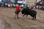 Les Alqueries inicia les exhibicions taurines amb una tancada