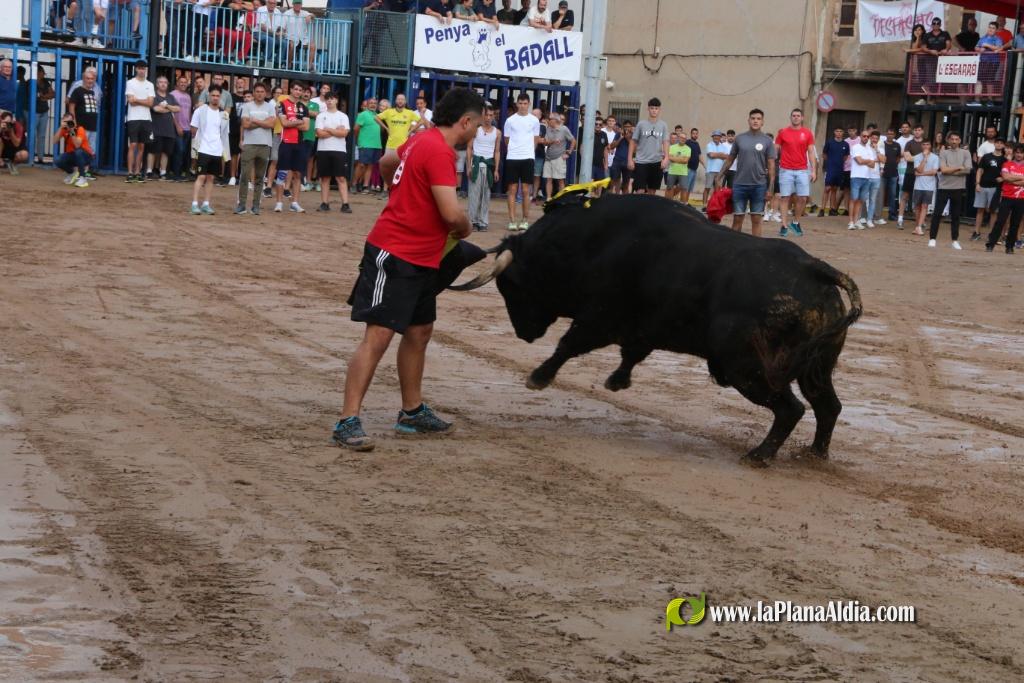 Les Alqueries inicia les exhibicions taurines amb una tancada
