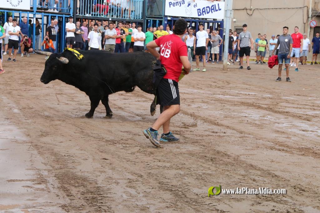 Les Alqueries inicia les exhibicions taurines amb una tancada