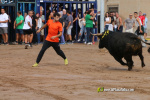 Les Alqueries inicia les exhibicions taurines amb una tancada
