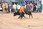 Les Alqueries inicia les exhibicions taurines amb una tancada