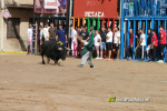 Les Alqueries inicia les exhibicions taurines amb una tancada