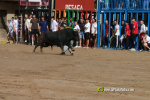 Les Alqueries inicia les exhibicions taurines amb una tancada