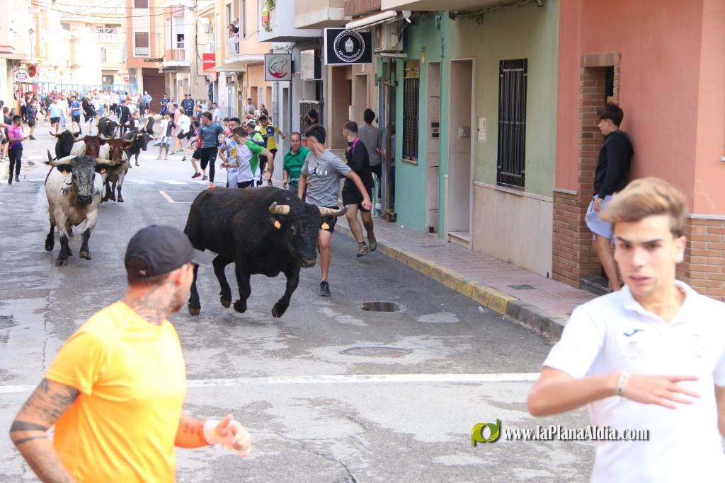 Les Alqueries inicia les exhibicions taurines amb una tancada