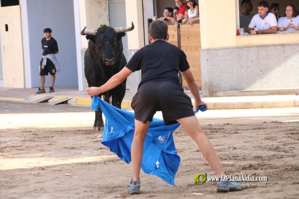 Les Alqueries inicia les exhibicions taurines amb una tancada
