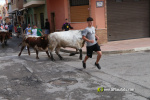 Les Alqueries inicia les exhibicions taurines amb una tancada