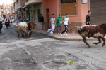 Les Alqueries inicia les exhibicions taurines amb una tancada