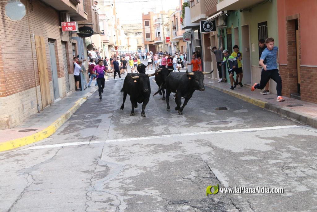 Les Alqueries inicia les exhibicions taurines amb una tancada