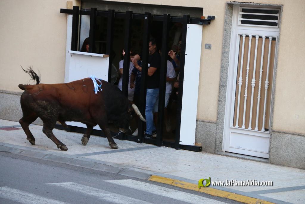 L'Axiamo viu de ple les festes taurines
