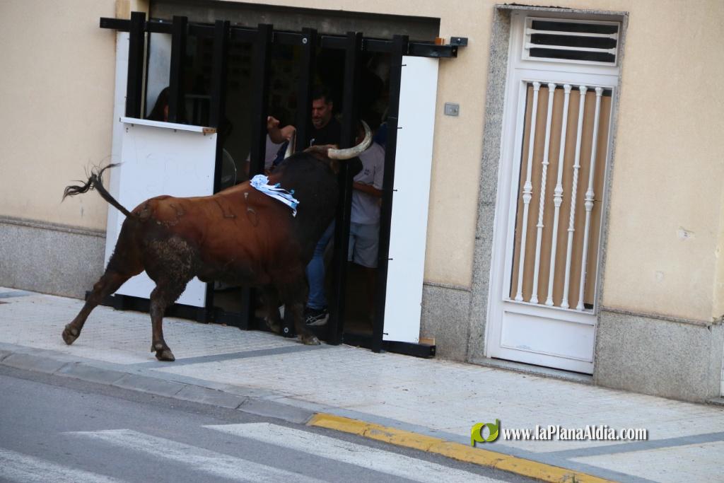 L'Axiamo viu de ple les festes taurines