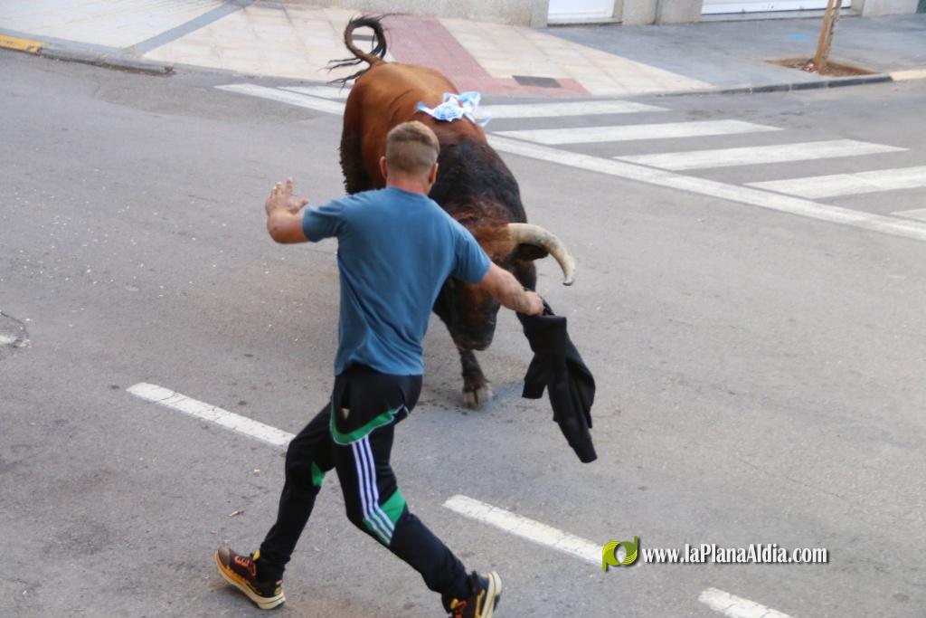 L'Axiamo viu de ple les festes taurines