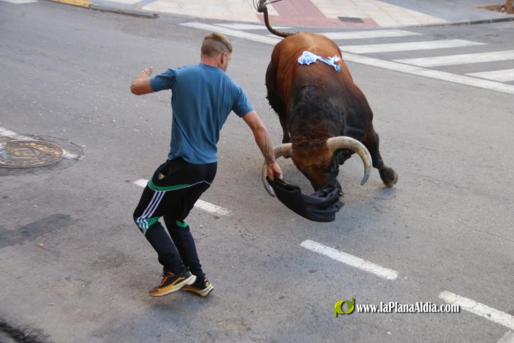 L'Axiamo viu de ple les festes taurines