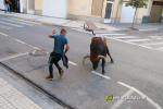 L'Axiamo viu de ple les festes taurines