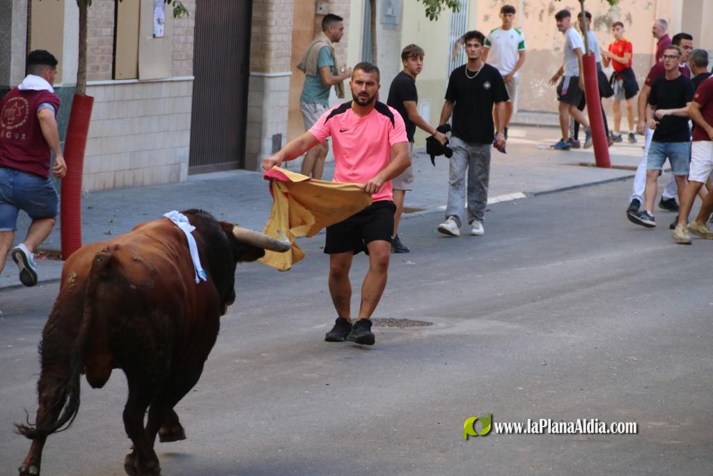 L'Axiamo viu de ple les festes taurines