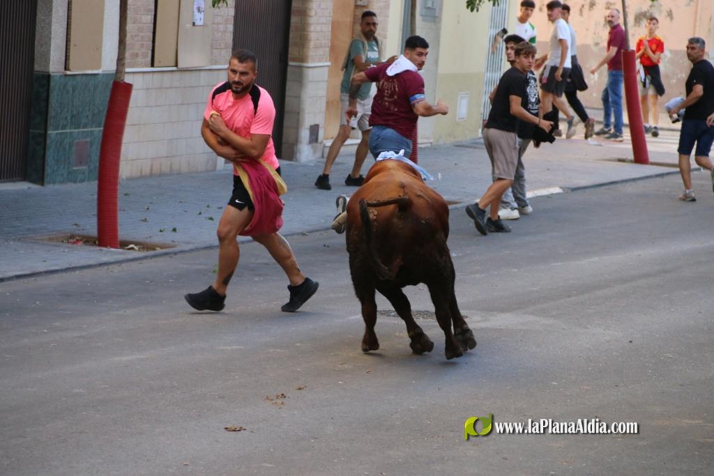 L'Axiamo viu de ple les festes taurines