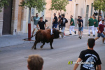 L'Axiamo viu de ple les festes taurines