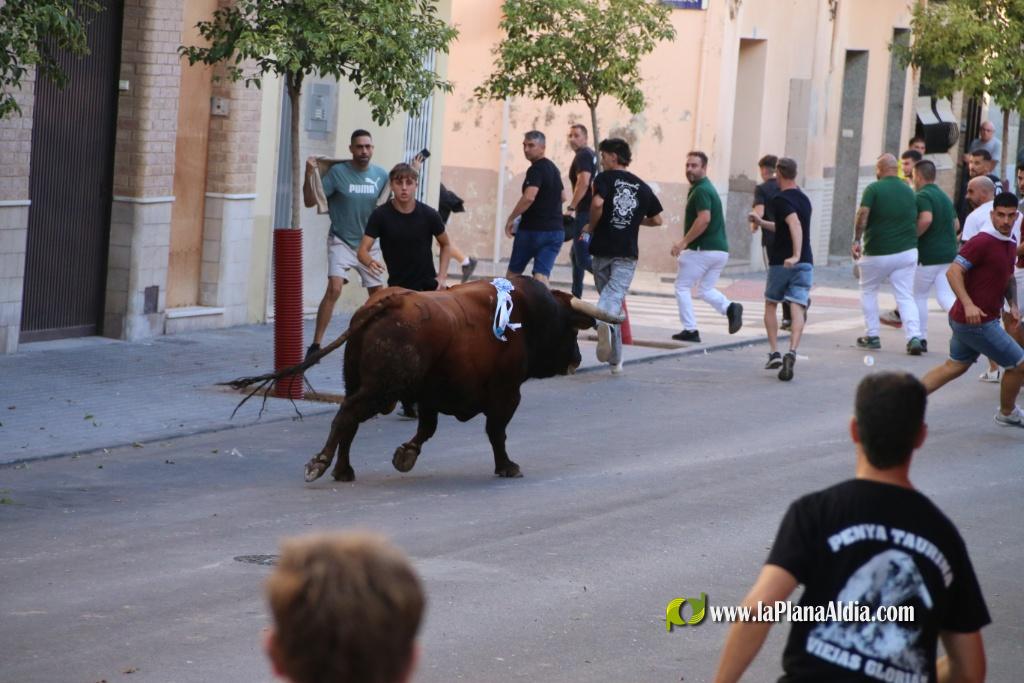 L'Axiamo viu de ple les festes taurines