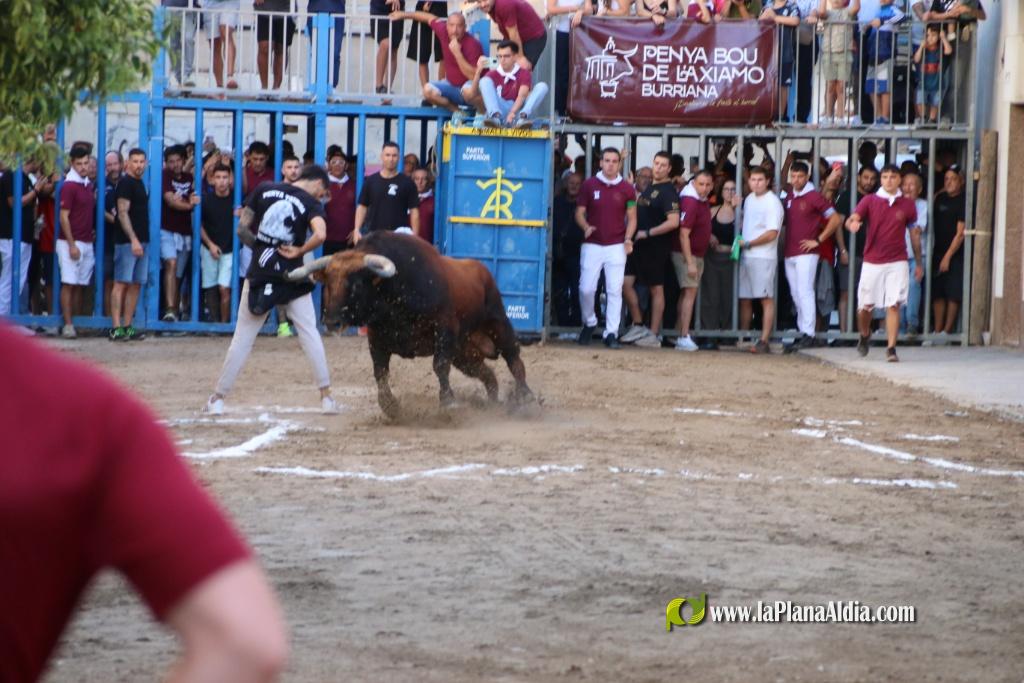 L'Axiamo viu de ple les festes taurines