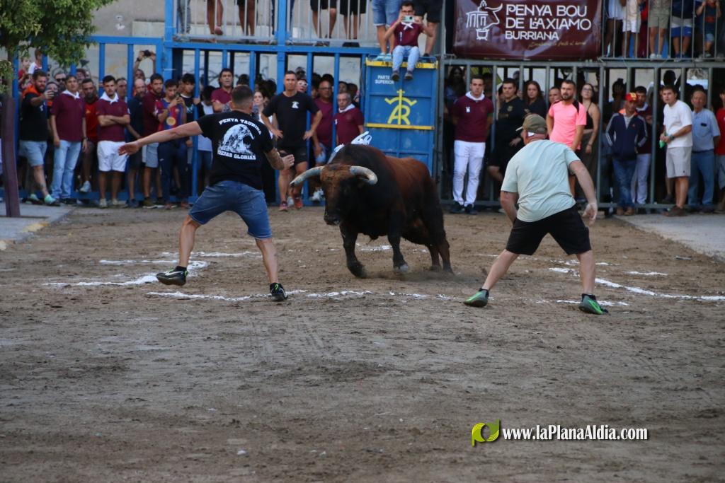 L'Axiamo viu de ple les festes taurines