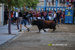 L'Axiamo viu de ple les festes taurines