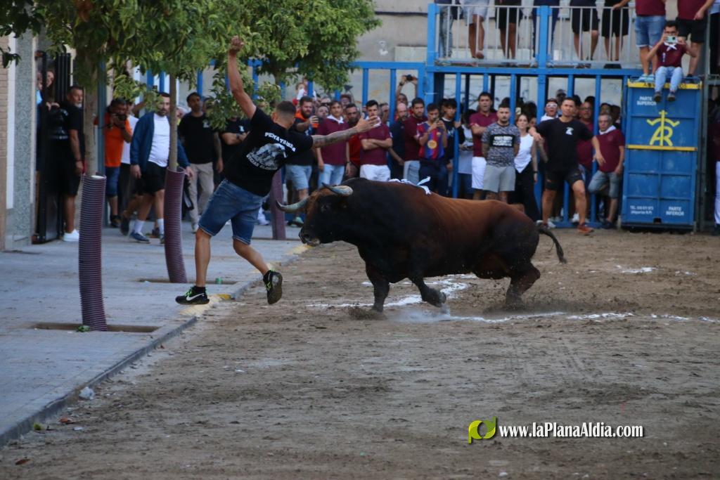 L'Axiamo viu de ple les festes taurines