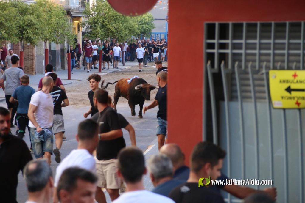 L'Axiamo viu de ple les festes taurines