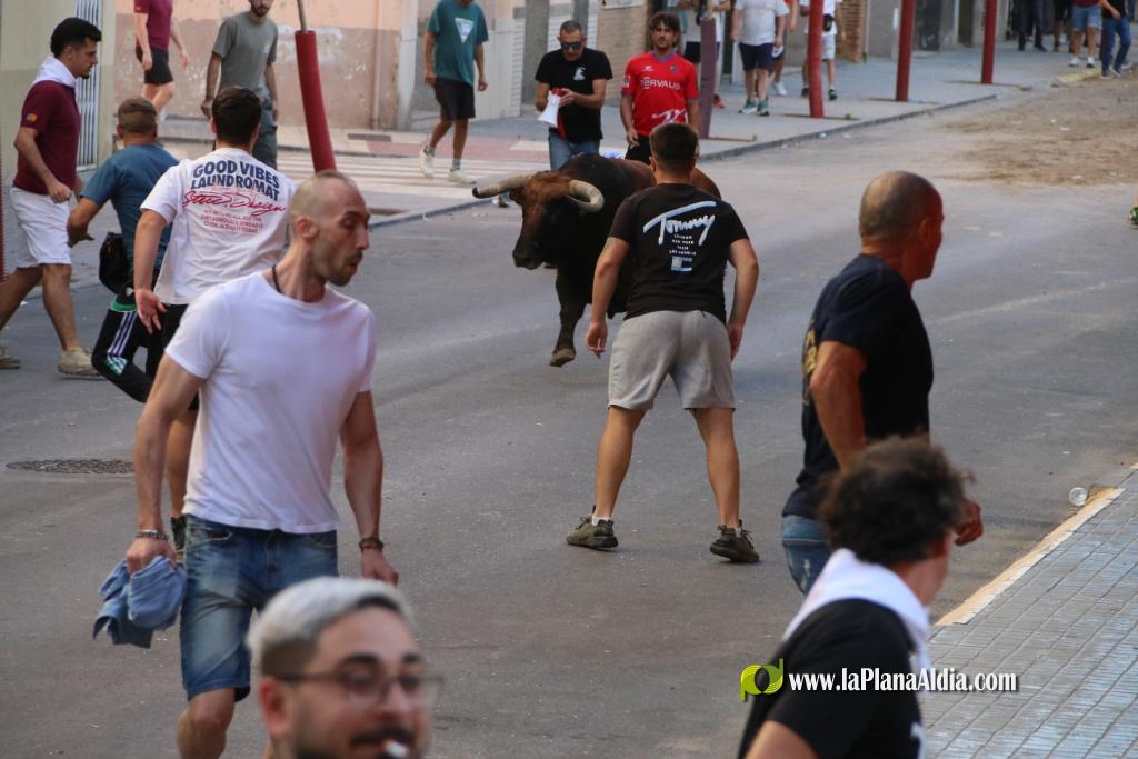 L'Axiamo viu de ple les festes taurines