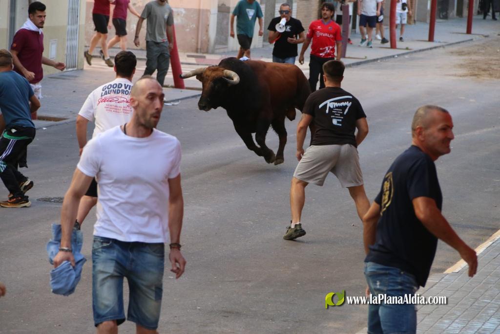 L'Axiamo viu de ple les festes taurines