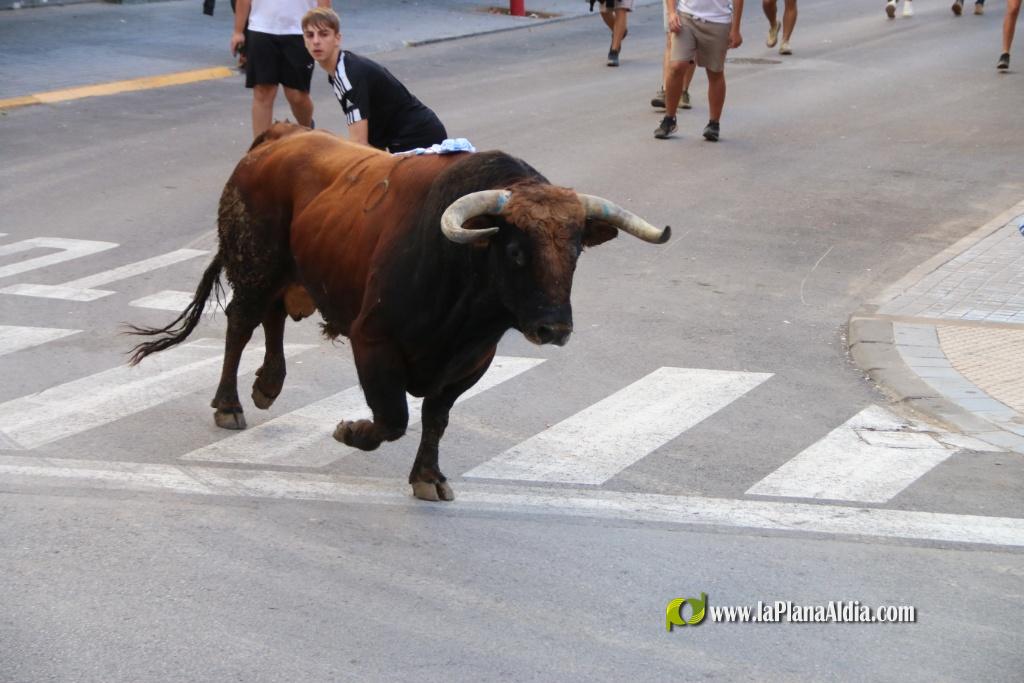 L'Axiamo viu de ple les festes taurines
