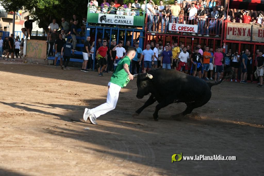 Ple a les exhibicions taurines vespertines en honor a la Verge del Xiquet Perdut