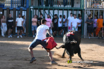 Ple a les exhibicions taurines vespertines en honor a la Verge del Xiquet Perdut