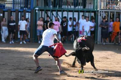 lleno-en-las-exhibiciones-taurinas-vespertinas-en-honor-a-la-virgen-del-ni-o-perdido