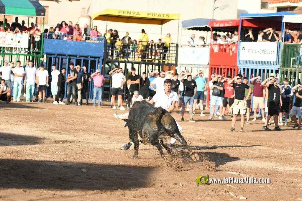 Ple a les exhibicions taurines vespertines en honor a la Verge del Xiquet Perdut