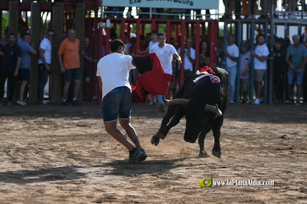 Ple a les exhibicions taurines vespertines en honor a la Verge del Xiquet Perdut