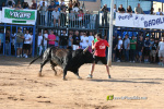 Ple a les exhibicions taurines vespertines en honor a la Verge del Xiquet Perdut