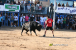 Ple a les exhibicions taurines vespertines en honor a la Verge del Xiquet Perdut
